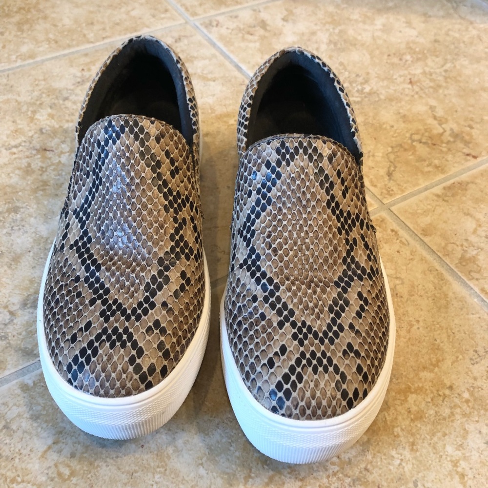 Steve Madden snakeprint Gills slip-on sneakers
